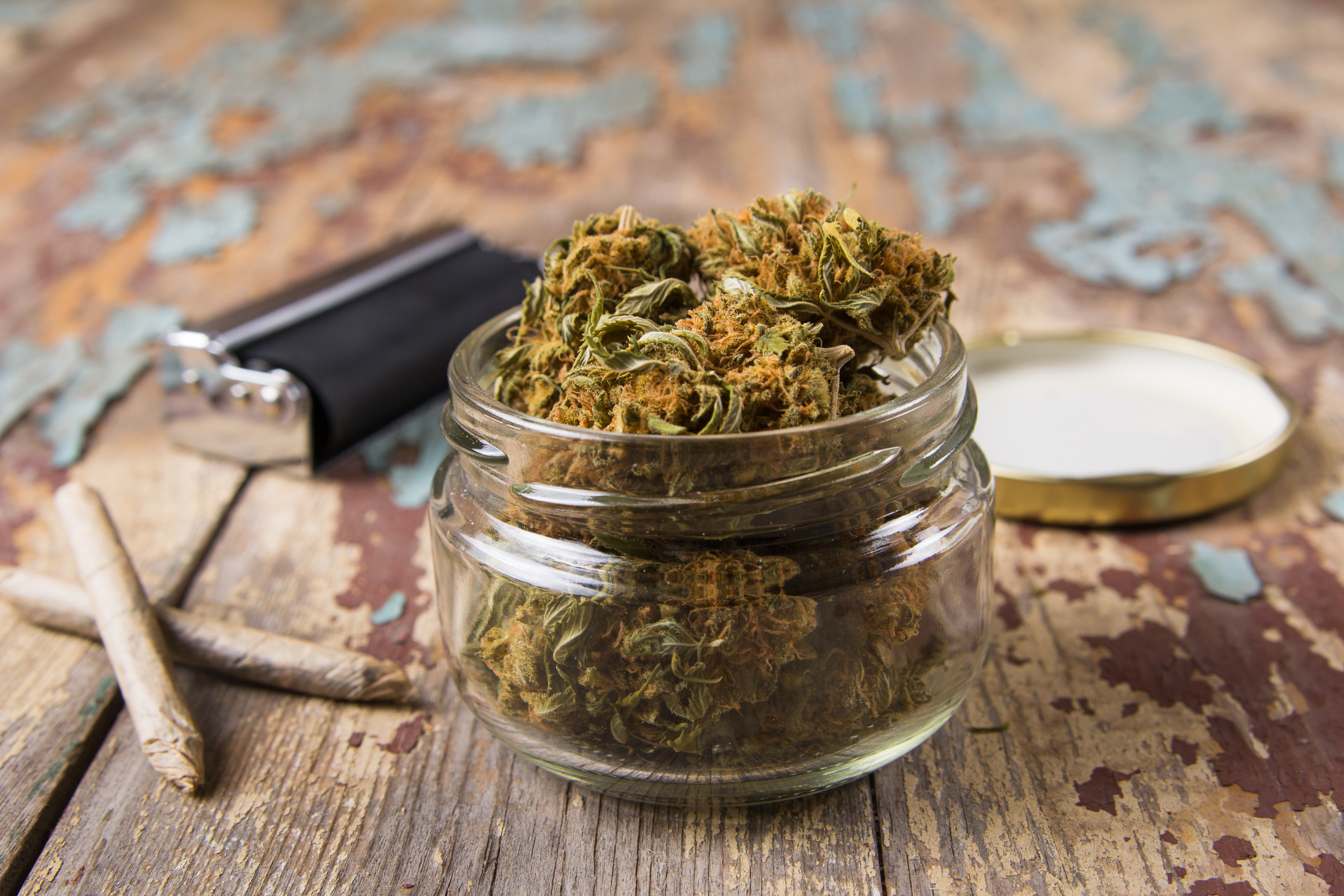 Celebrate 3 Years in Bernardston with The Heirloom Collective: New Strain Releases Drop October 29